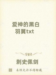 愛神的黑白羽翼txt